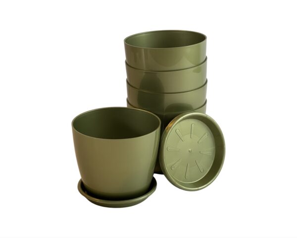 Set of 5 Olive Green Glossy Finish Planters with Trays for Home and Garden Decor | Size 5 inch