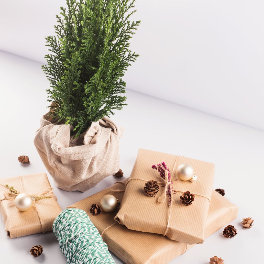 Plants as gifts