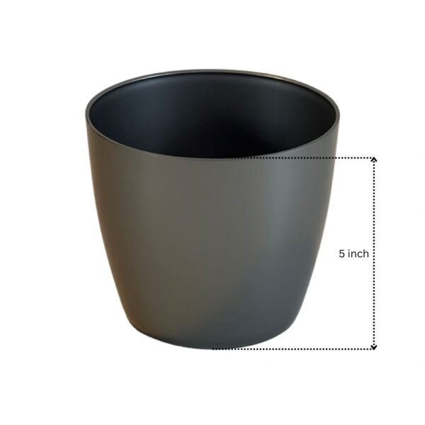 silver pot