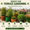 vermicompost-fertiliser
