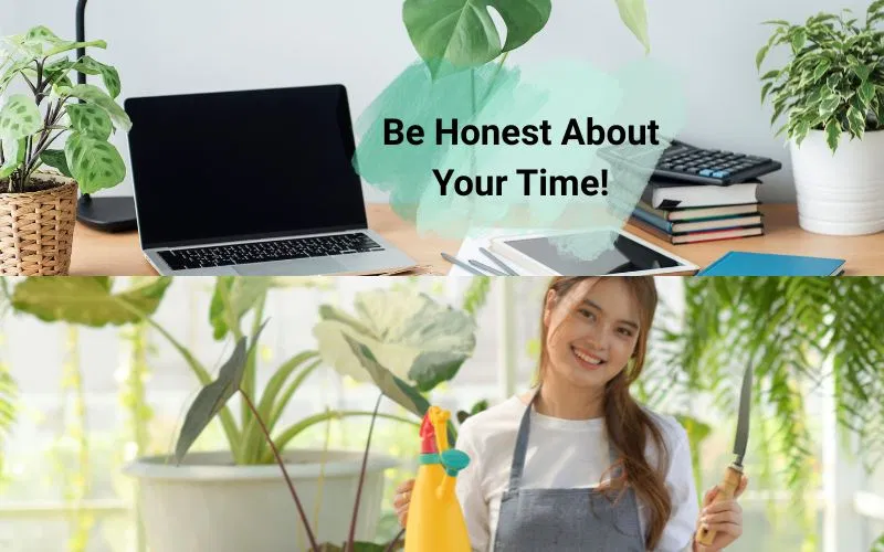 Low maintenance plants for busy Indians
