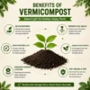 vermicompost-fertiliser