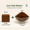 cocopeat block india
