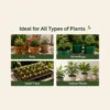 cocopeat block india