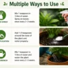 epsom salt for plants India