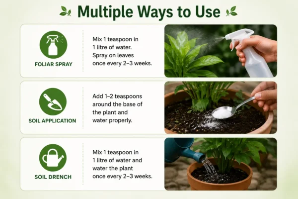 epsom salt for plants India