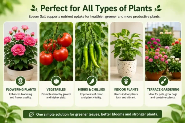 epsom salt for plants India