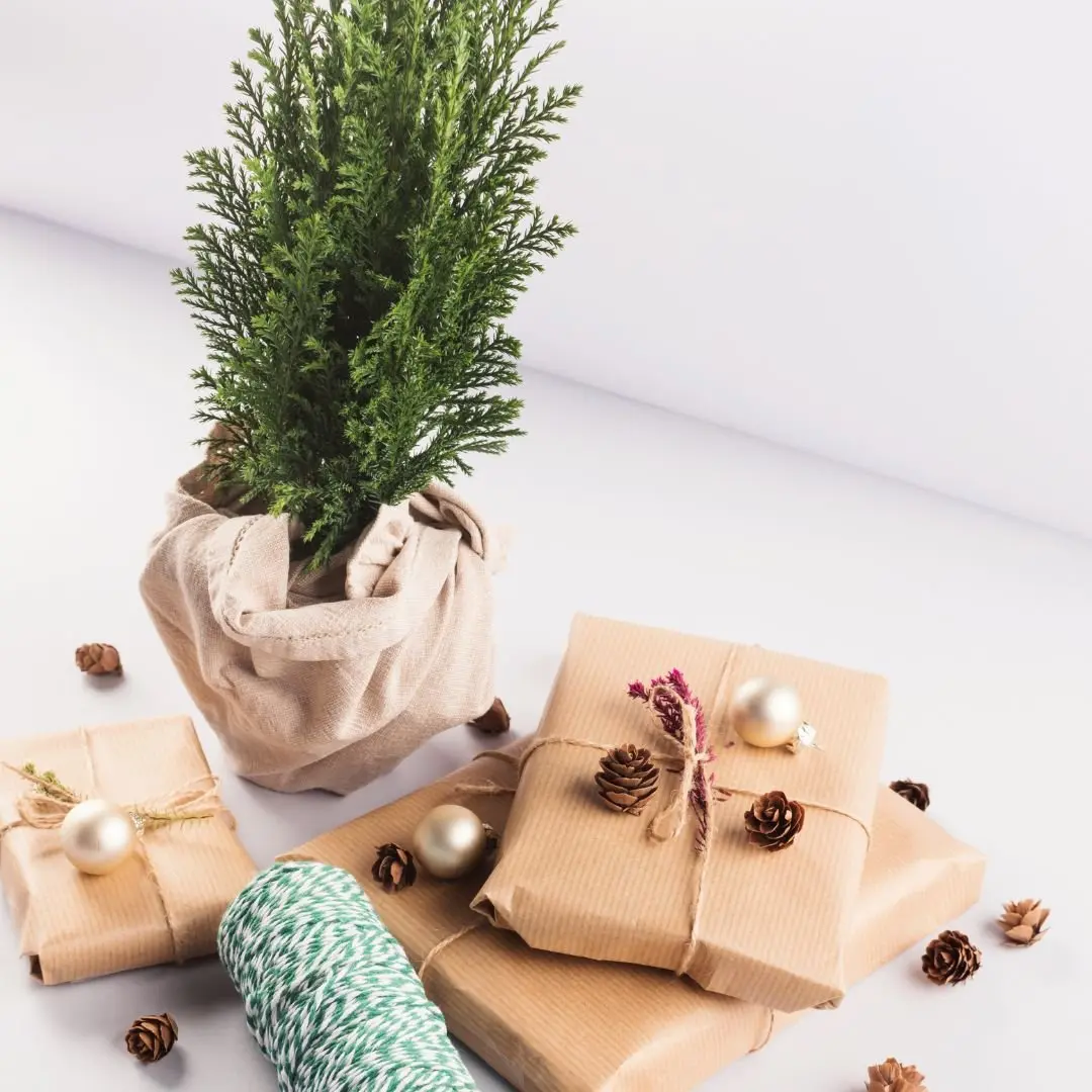 For Gifting