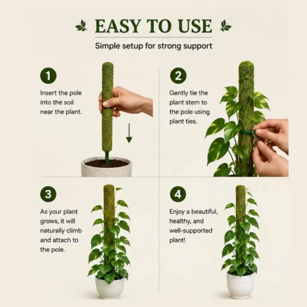 Moss Pole for Plants