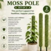 Moss Pole for Plants