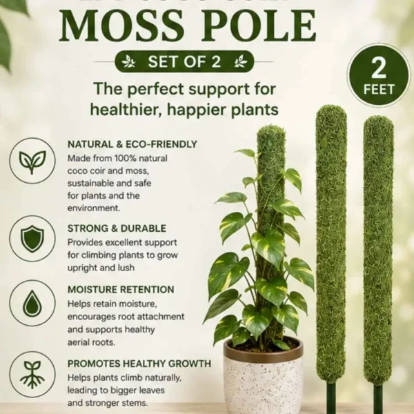 Moss Pole for Plants