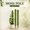 Moss Pole for Plants
