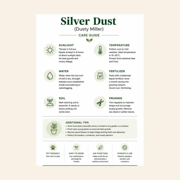 silver dust plant India