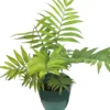 bamboo mini palm