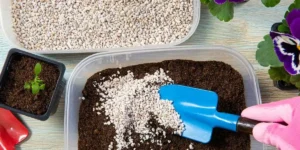 Cocopeat Perlite Vermicompost