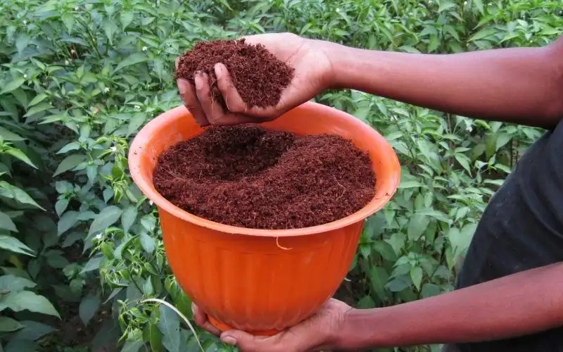 Cocopeat Perlite Vermicompost