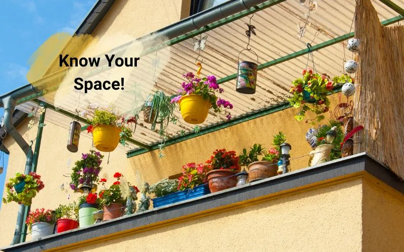 Indoor vs outdoor plants for Indian homes