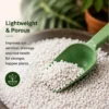 perlite for plants