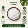 perlite for plants