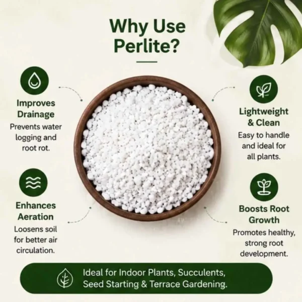perlite for plants