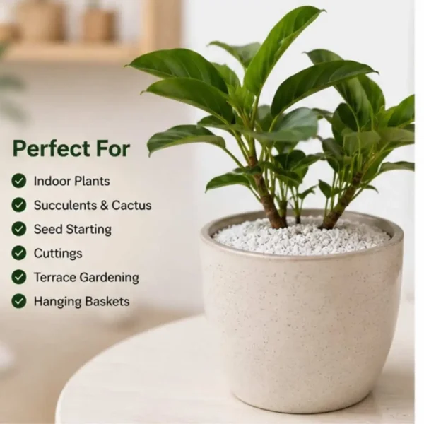 perlite for plants