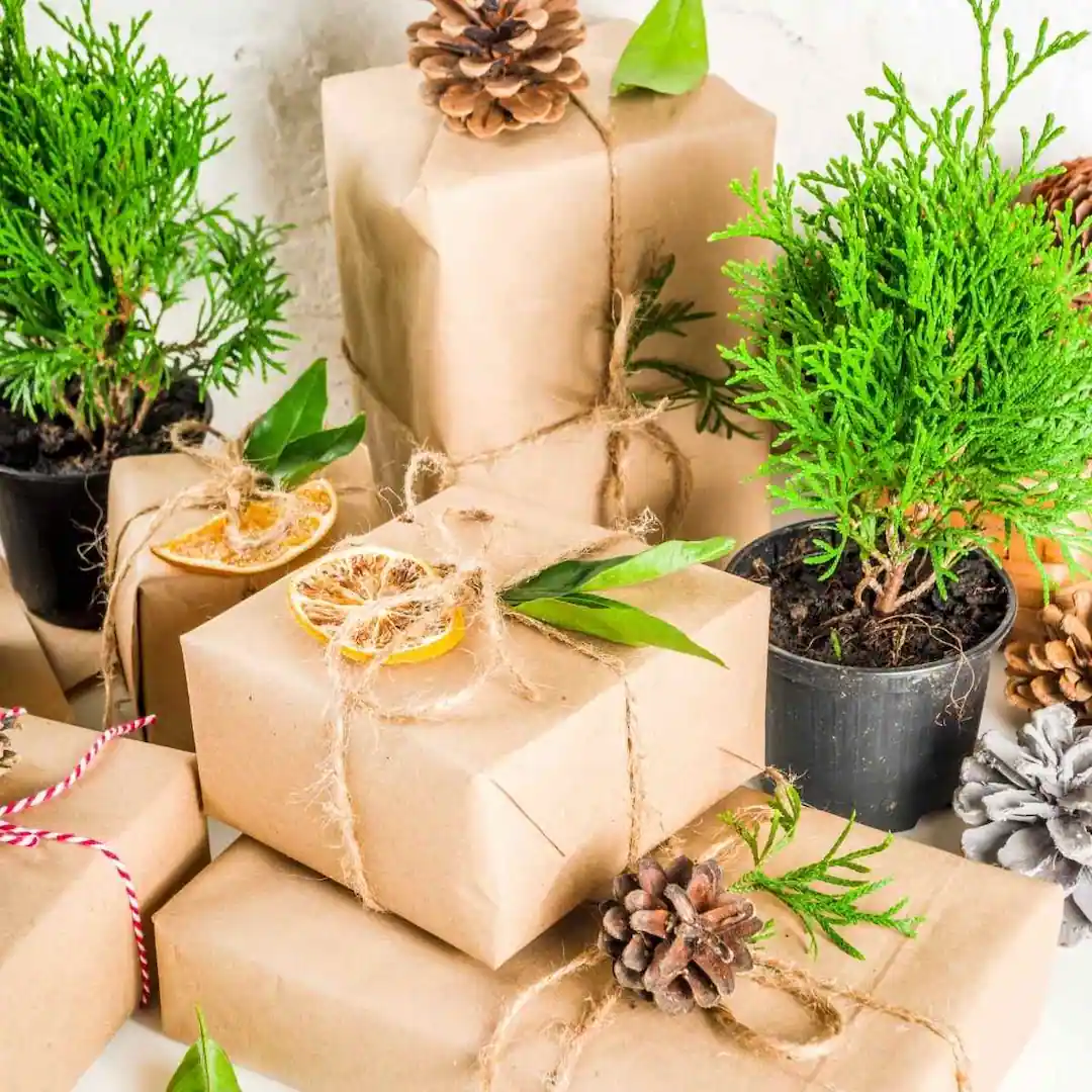 gift